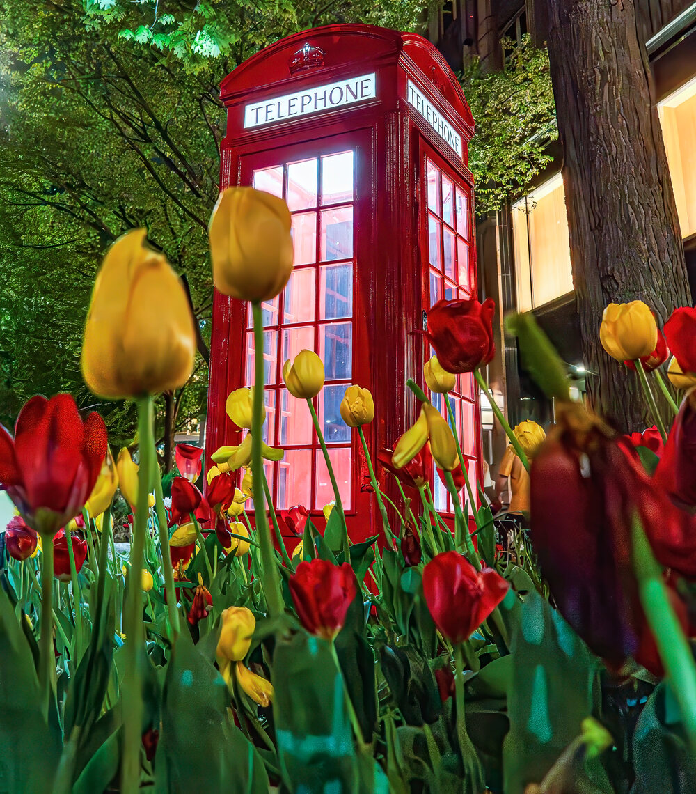 A Call from London